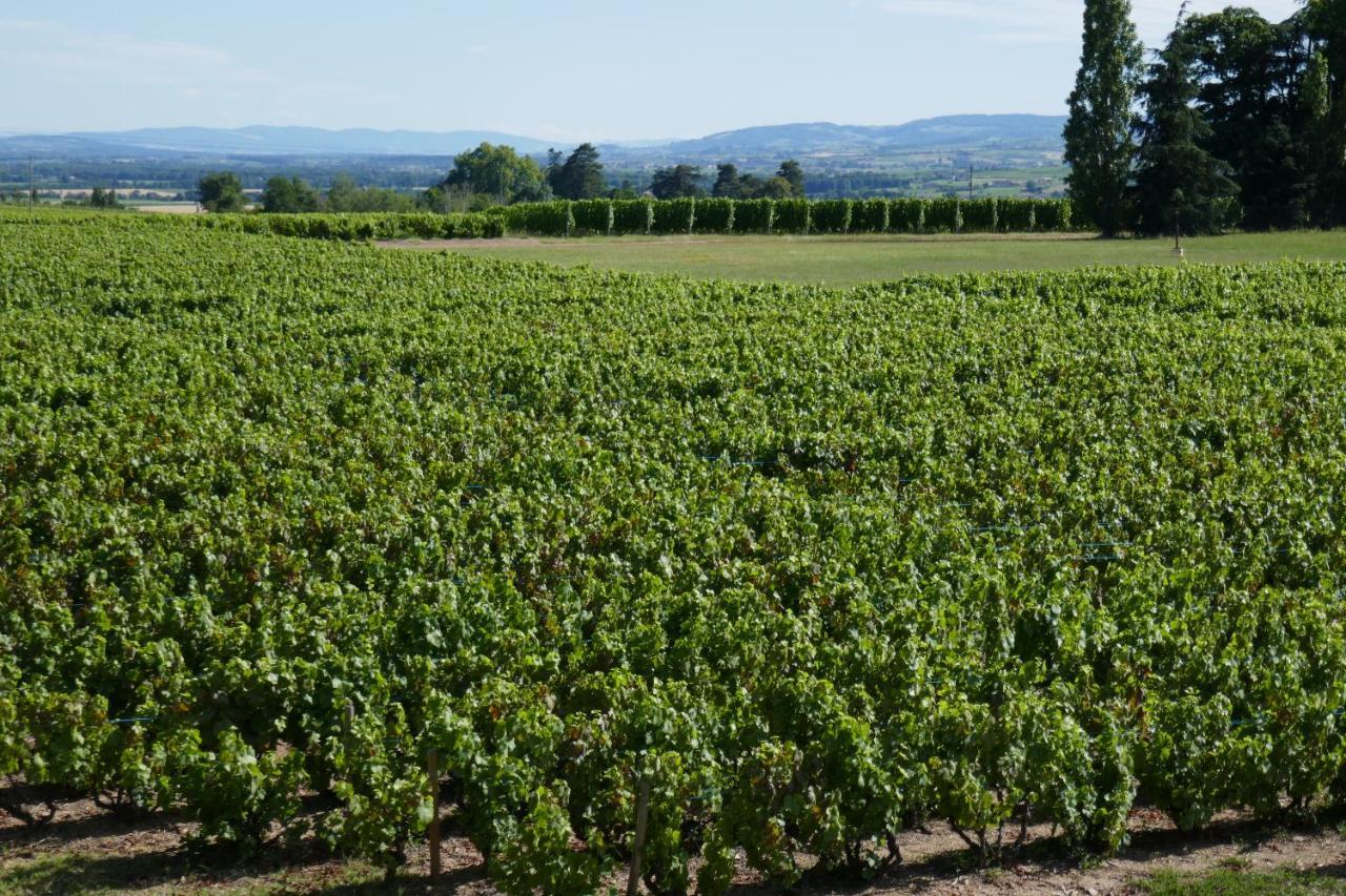 Bed and Breakfast Le Bel Air De Saint Jean Belleville-en-Beaujolais Exterior foto